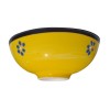 Ceramic Bowl