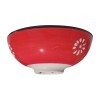 Ceramic Bowl