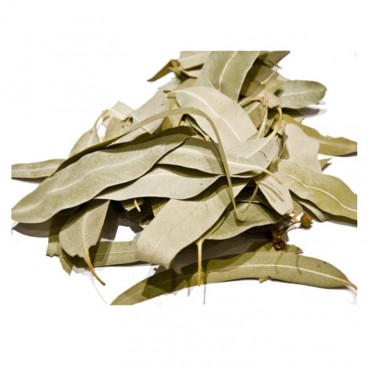 Eucalyptus Leaves 20...