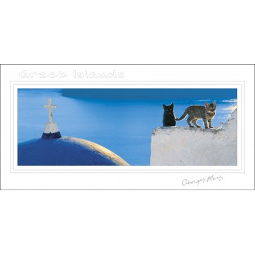 Postcard...