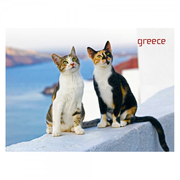 Fridge magnet Greek Cats