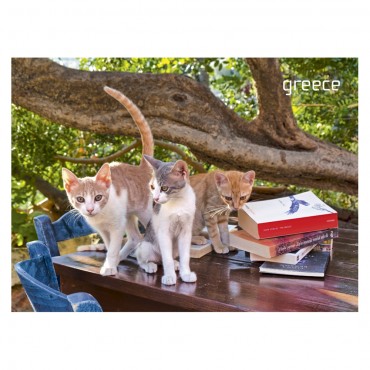 Fridge magnet Greece...