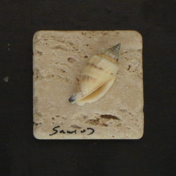 Fridge magnet made of natural materials Samos