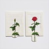 Living Card Rose